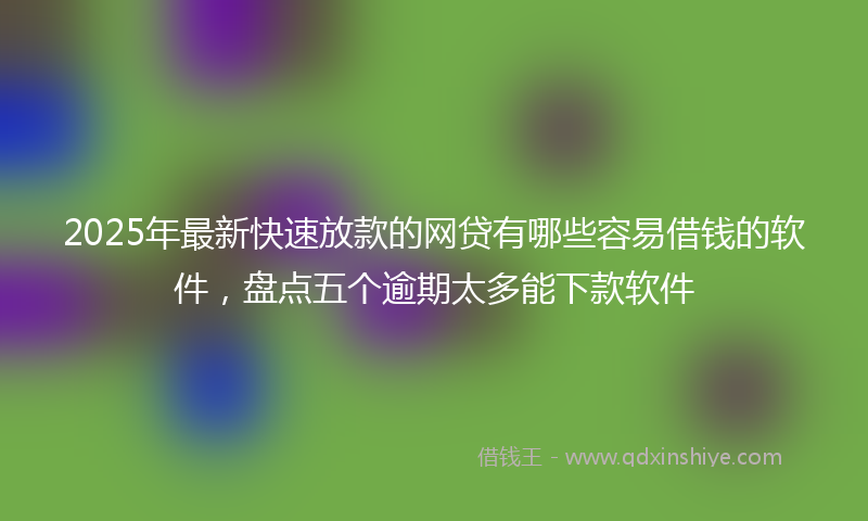 2025年最新快速放款的网贷有哪些容易借钱的软件，盘点五个逾期太多能下款软件