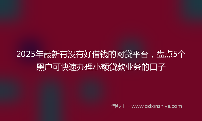 2025年最新有没有好借钱的网贷平台，盘点5个黑户可快速办理小额贷款业务的口子