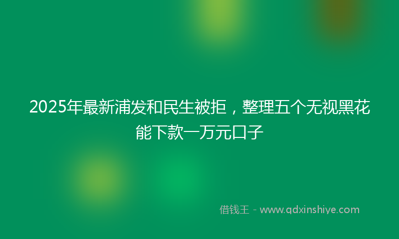 2025年最新浦发和民生被拒，整理五个无视黑花能下款一万元口子