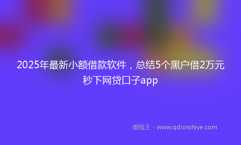 2025年最新小额借款软件，总结5个黑户借2万元秒下网贷口子app