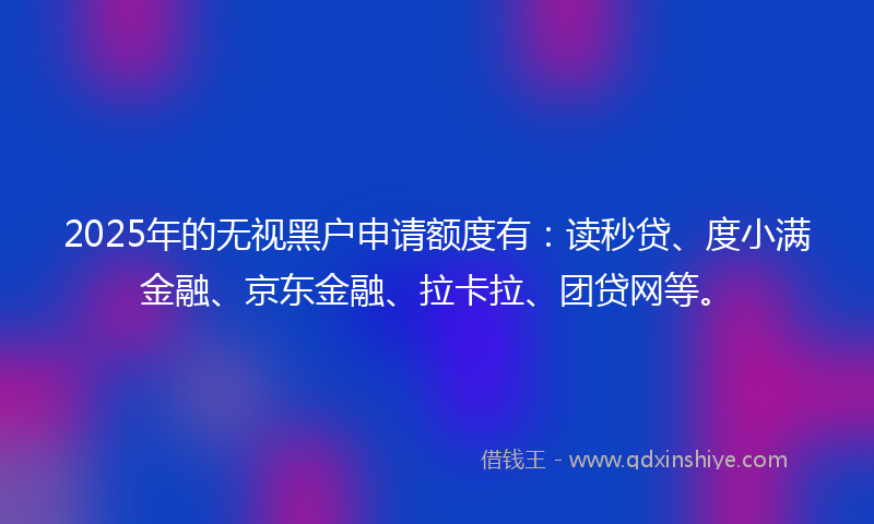2025年的无视黑户申请额度有：读秒贷、度小满金融、京东金融、拉卡拉、团贷网等。