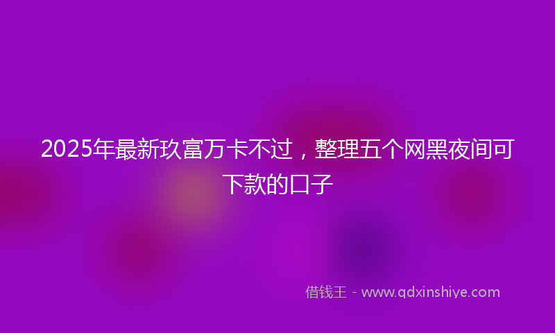 2025年最新玖富万卡不过，整理五个网黑夜间可下款的口子
