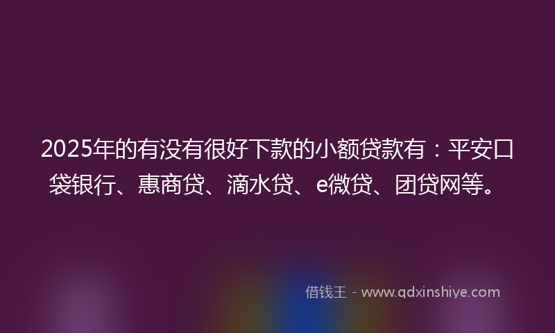 2025年的有没有很好下款的小额贷款有：平安口袋银行、惠商贷、滴水贷、e微贷、团贷网等。