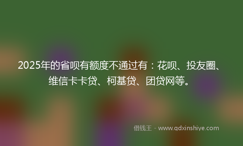 2025年的省呗有额度不通过有：花呗、投友圈、维信卡卡贷、柯基贷、团贷网等。