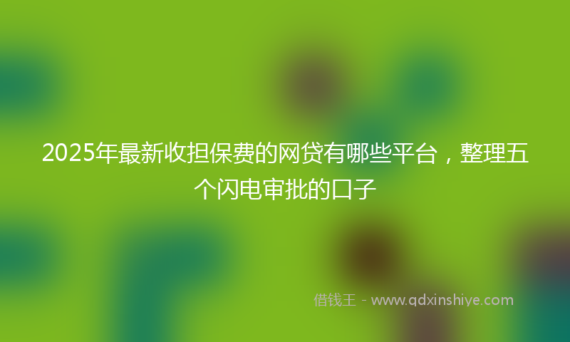 2025年最新收担保费的网贷有哪些平台，整理五个闪电审批的口子