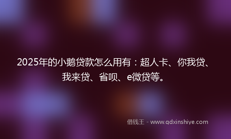 2025年的小鹅贷款怎么用有：超人卡、你我贷、我来贷、省呗、e微贷等。