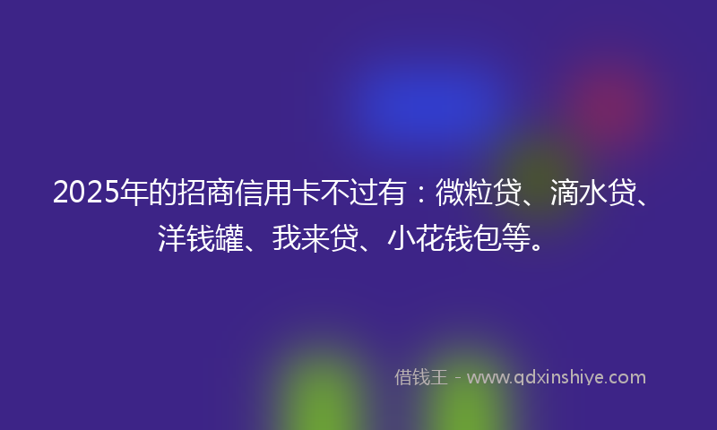 2025年的招商信用卡不过有：微粒贷、滴水贷、洋钱罐、我来贷、小花钱包等。