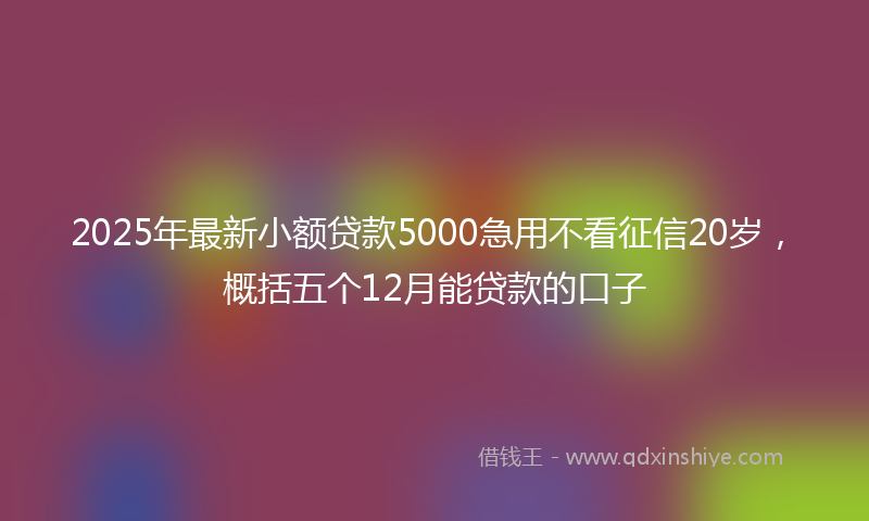 2025年最新小额贷款5000急用不看征信20岁，概括五个12月能贷款的口子