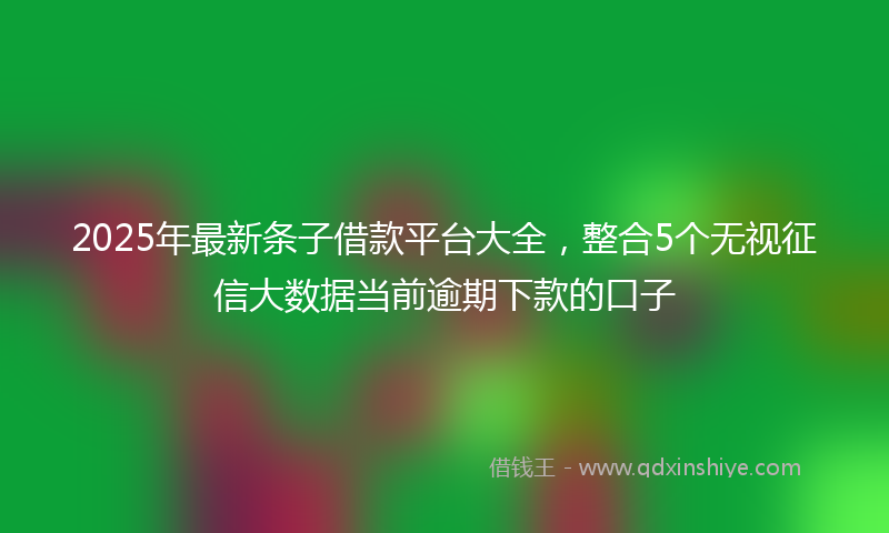 2025年最新条子借款平台大全，整合5个无视征信大数据当前逾期下款的口子