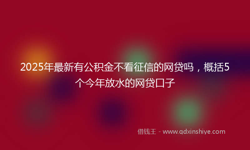 2025年最新有公积金不看征信的网贷吗，概括5个今年放水的网贷口子