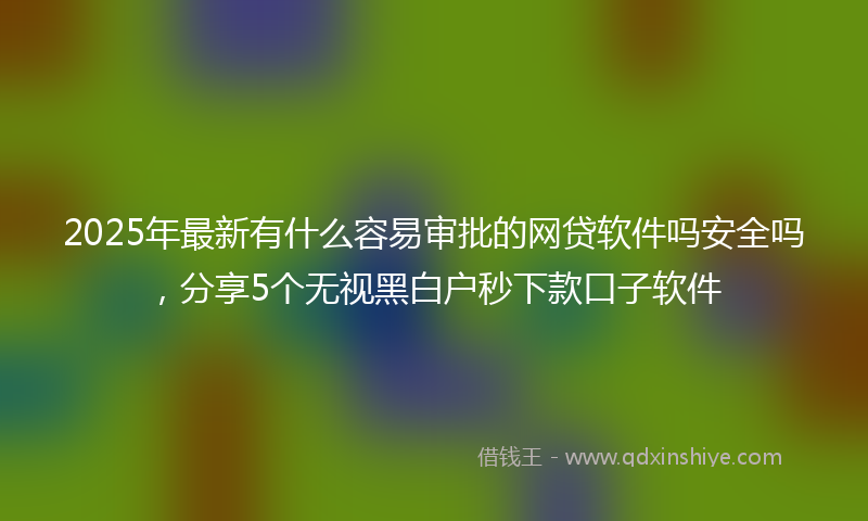 2025年最新有什么容易审批的网贷软件吗安全吗，分享5个无视黑白户秒下款口子软件