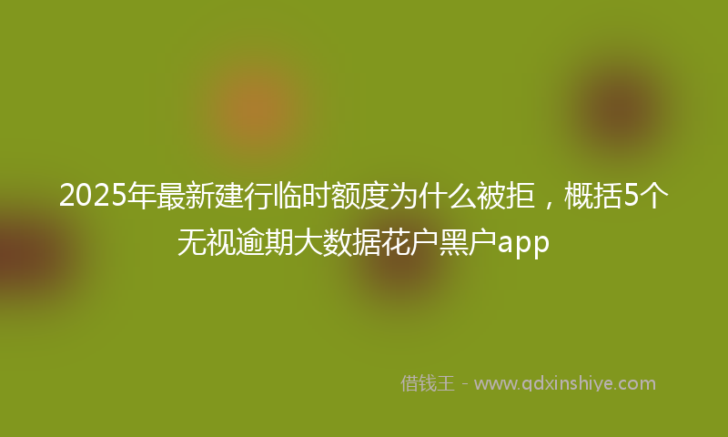 2025年最新建行临时额度为什么被拒，概括5个无视逾期大数据花户黑户app