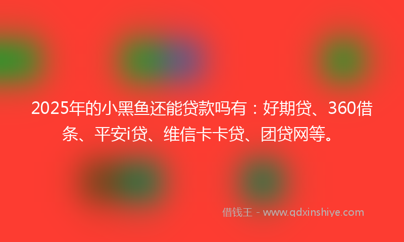 2025年的小黑鱼还能贷款吗有：好期贷、360借条、平安i贷、维信卡卡贷、团贷网等。