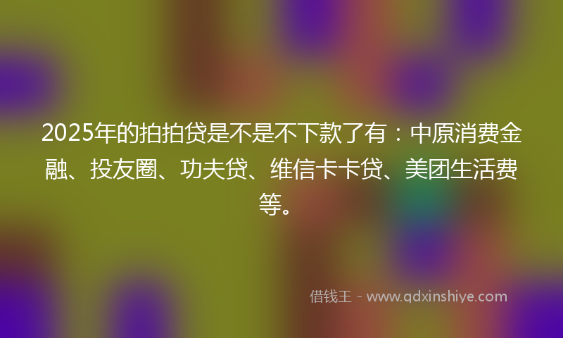 2025年的拍拍贷是不是不下款了有：中原消费金融、投友圈、功夫贷、维信卡卡贷、美团生活费等。