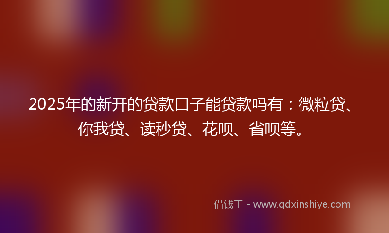 2025年的新开的贷款口子能贷款吗有：微粒贷、你我贷、读秒贷、花呗、省呗等。