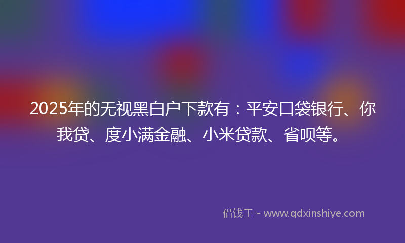 2025年的无视黑白户下款有：平安口袋银行、你我贷、度小满金融、小米贷款、省呗等。