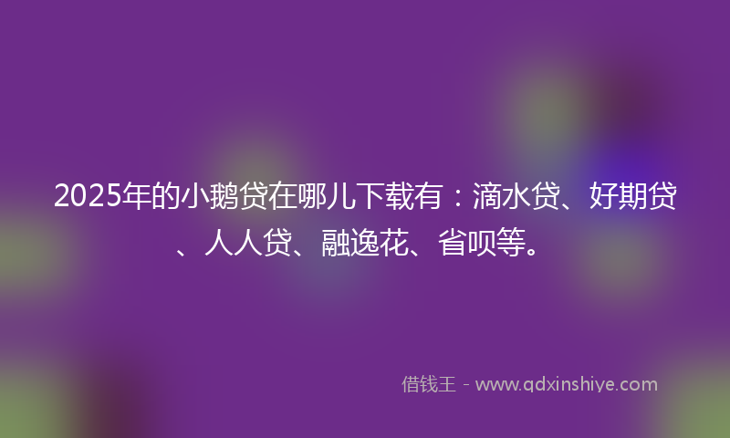 2025年的小鹅贷在哪儿下载有：滴水贷、好期贷、人人贷、融逸花、省呗等。