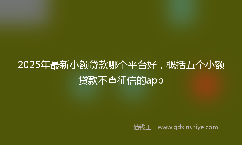 2025年最新小额贷款哪个平台好，概括五个小额贷款不查征信的app