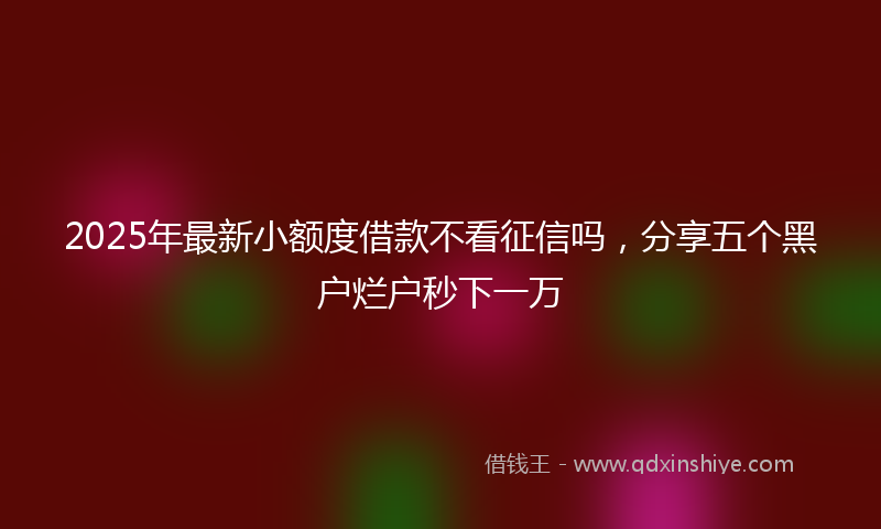 2025年最新小额度借款不看征信吗，分享五个黑户烂户秒下一万