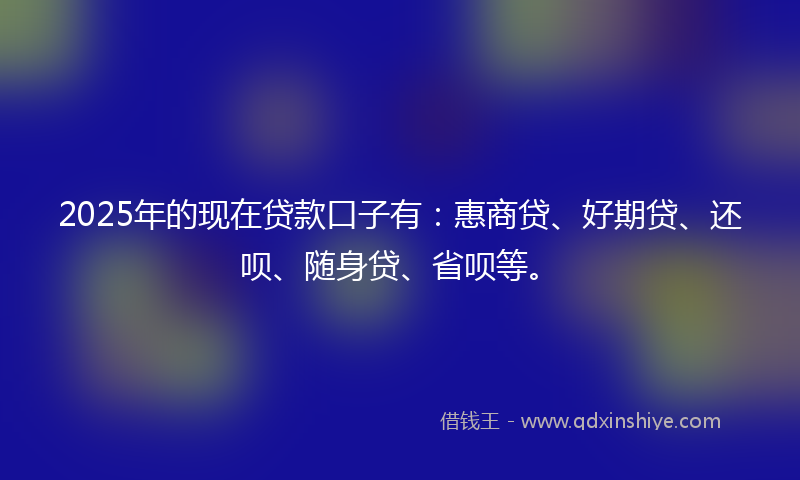 2025年的现在贷款口子有：惠商贷、好期贷、还呗、随身贷、省呗等。