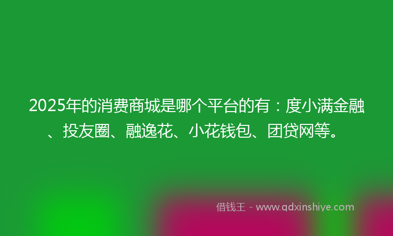 2025年的消费商城是哪个平台的有：度小满金融、投友圈、融逸花、小花钱包、团贷网等。
