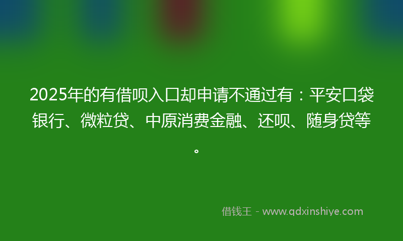 2025年的有借呗入口却申请不通过有：平安口袋银行、微粒贷、中原消费金融、还呗、随身贷等。