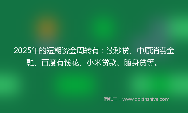 2025年的短期资金周转有：读秒贷、中原消费金融、百度有钱花、小米贷款、随身贷等。