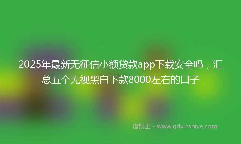 2025年最新无征信小额贷款app下载安全吗，汇总五个无视黑白下款8000左右的口子