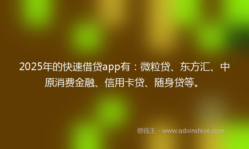 2025年的快速借贷app有：微粒贷、东方汇、中原消费金融、信用卡贷、随身贷等。