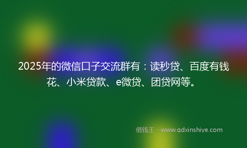 2025年的微信口子交流群有：读秒贷、百度有钱花、小米贷款、e微贷、团贷网等。