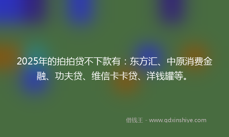 2025年的拍拍贷不下款有：东方汇、中原消费金融、功夫贷、维信卡卡贷、洋钱罐等。