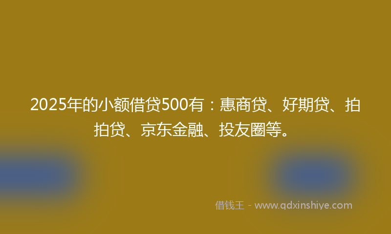 2025年的小额借贷500有：惠商贷、好期贷、拍拍贷、京东金融、投友圈等。