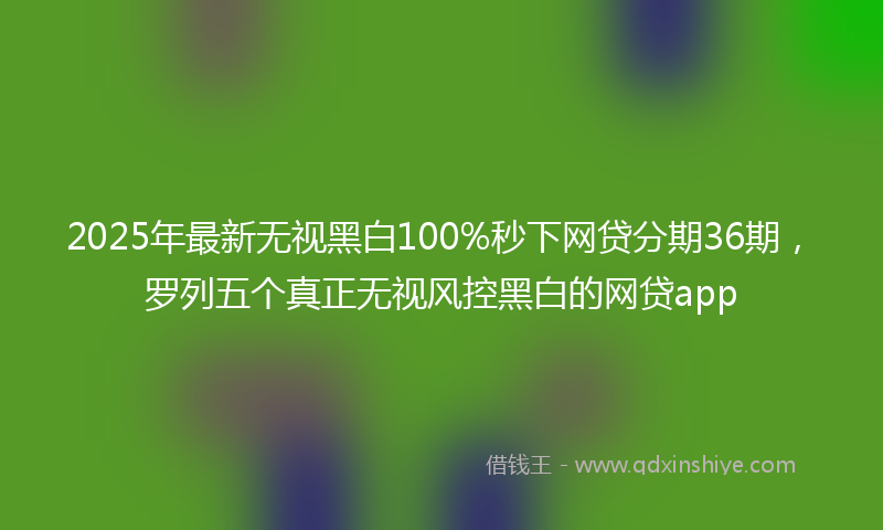 2025年最新无视黑白100%秒下网贷分期36期，罗列五个真正无视风控黑白的网贷app