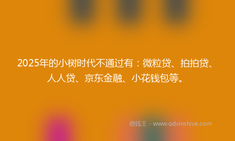 2025年的小树时代不通过有：微粒贷、拍拍贷、人人贷、京东金融、小花钱包等。