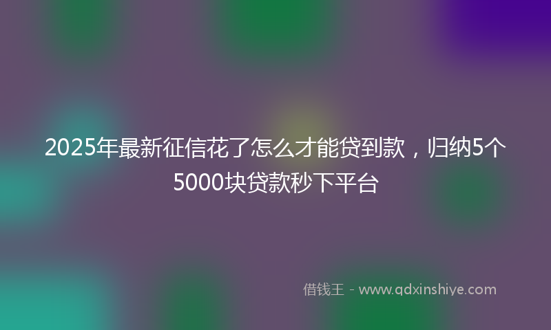 2025年最新征信花了怎么才能贷到款，归纳5个5000块贷款秒下平台