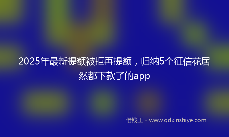2025年最新提额被拒再提额，归纳5个征信花居然都下款了的app