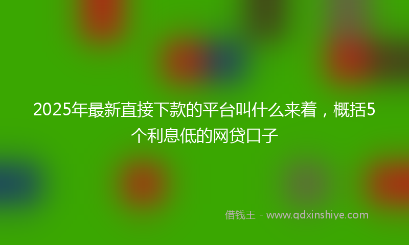 2025年最新直接下款的平台叫什么来着，概括5个利息低的网贷口子