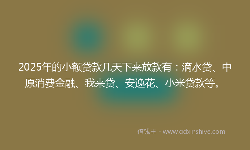 2025年的小额贷款几天下来放款有：滴水贷、中原消费金融、我来贷、安逸花、小米贷款等。