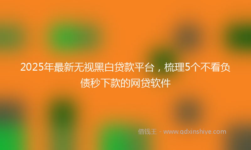 2025年最新无视黑白贷款平台，梳理5个不看负债秒下款的网贷软件