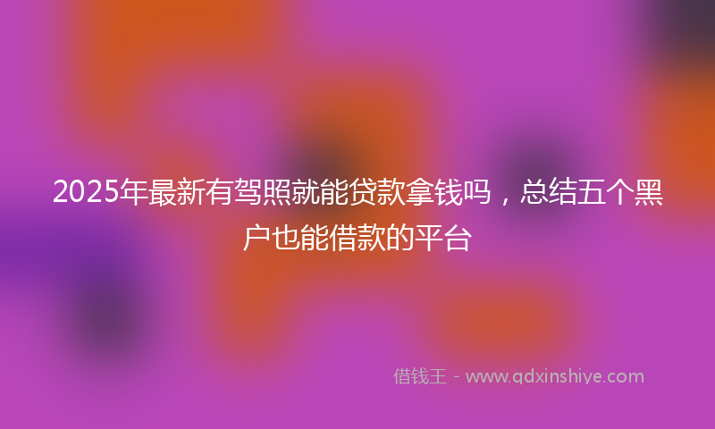 2025年最新有驾照就能贷款拿钱吗，总结五个黑户也能借款的平台