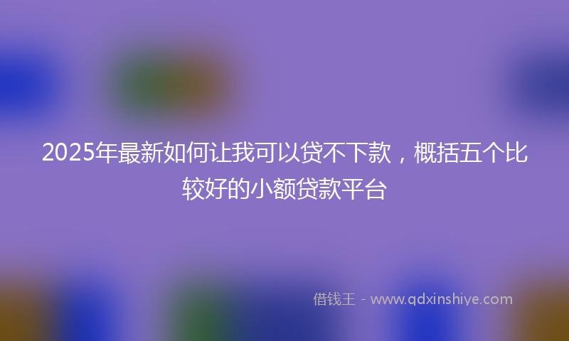 2025年最新如何让我可以贷不下款，概括五个比较好的小额贷款平台
