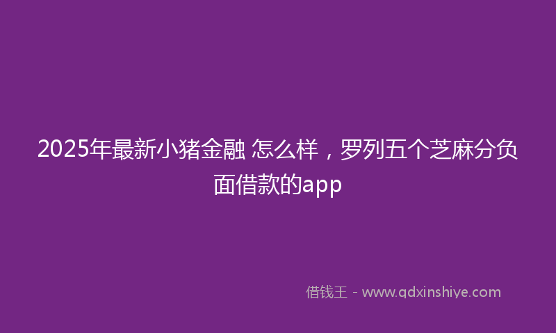 2025年最新小猪金融 怎么样，罗列五个芝麻分负面借款的app