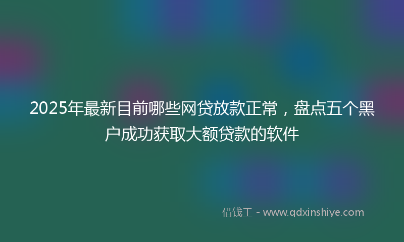 2025年最新目前哪些网贷放款正常，盘点五个黑户成功获取大额贷款的软件