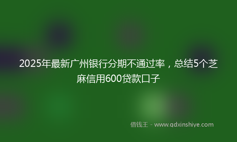 2025年最新广州银行分期不通过率，总结5个芝麻信用600贷款口子