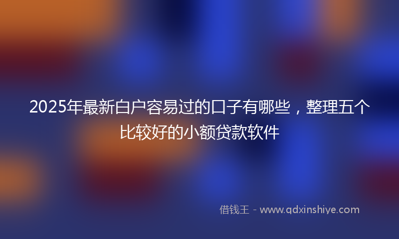 2025年最新白户容易过的口子有哪些，整理五个比较好的小额贷款软件