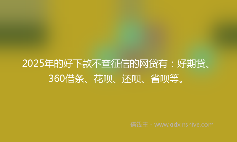 2025年的好下款不查征信的网贷有：好期贷、360借条、花呗、还呗、省呗等。