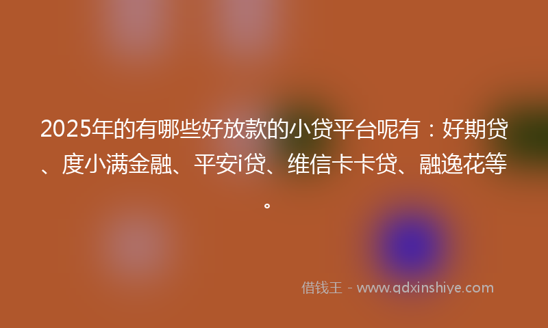2025年的有哪些好放款的小贷平台呢有：好期贷、度小满金融、平安i贷、维信卡卡贷、融逸花等。