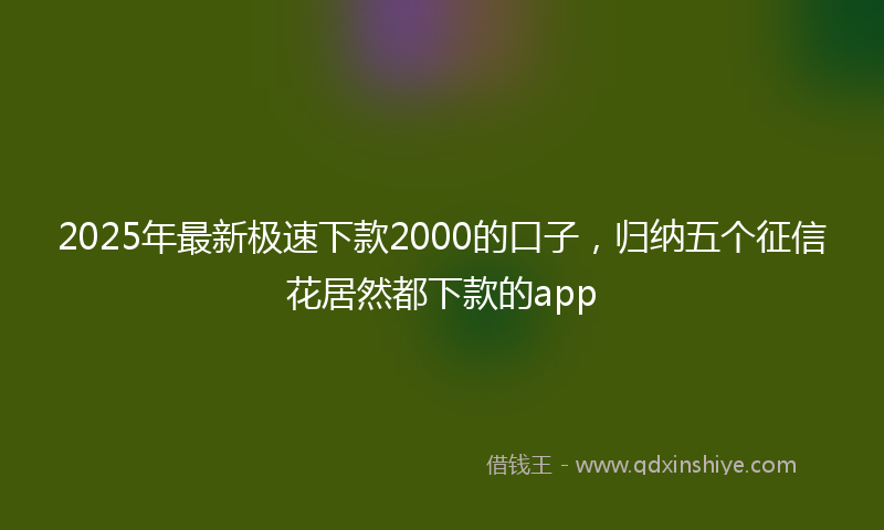 2025年最新极速下款2000的口子，归纳五个征信花居然都下款的app