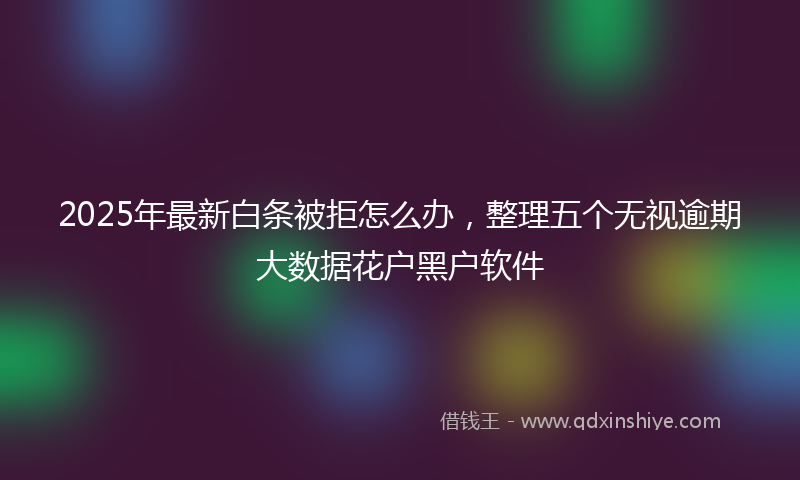 2025年最新白条被拒怎么办，整理五个无视逾期大数据花户黑户软件