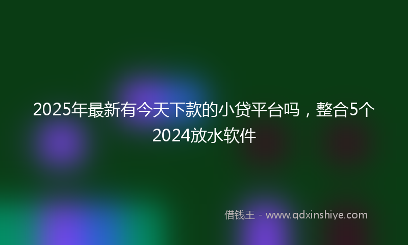 2025年最新有今天下款的小贷平台吗，整合5个2024放水软件